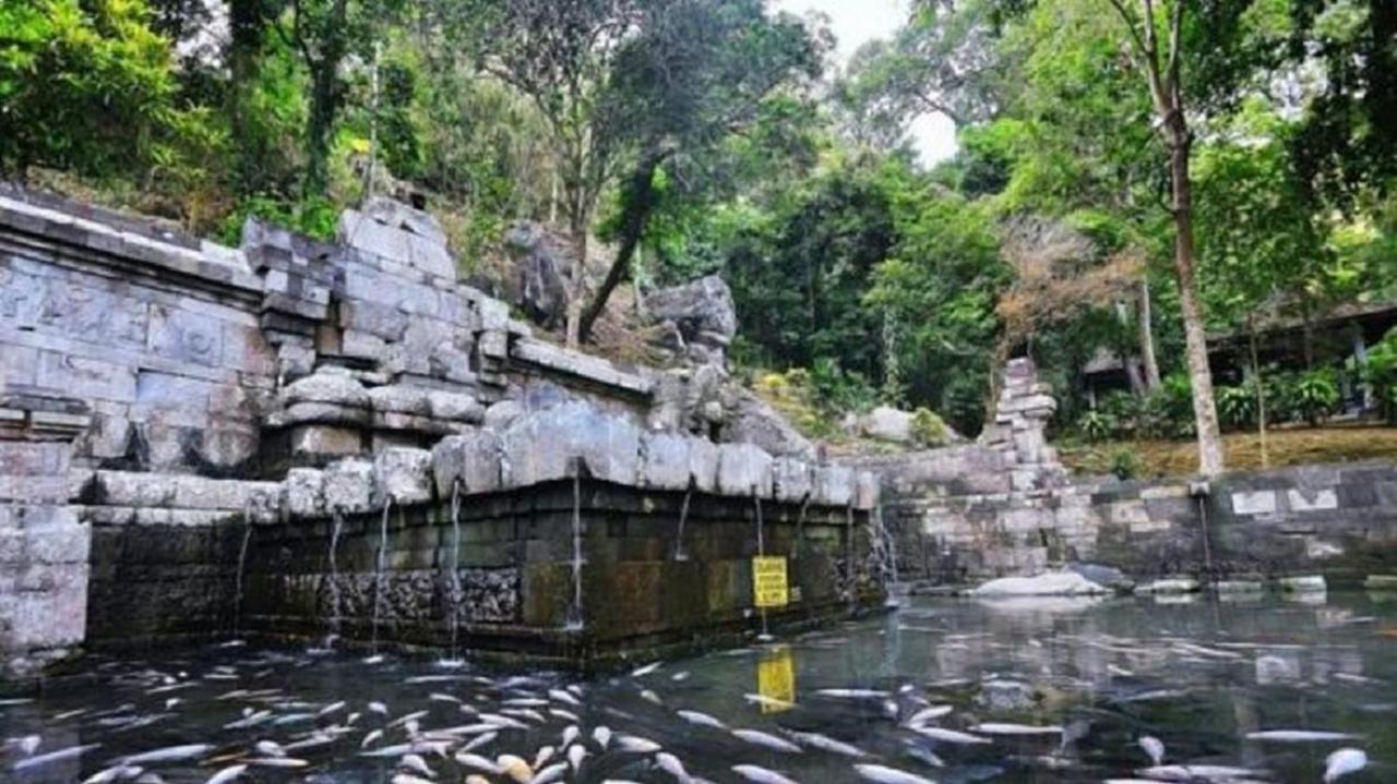 Вілла Welirang Forest Pacet Mojokerto Екстер'єр фото